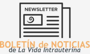 BANNER Boletín noticias_©LaVidaIntrauterina
