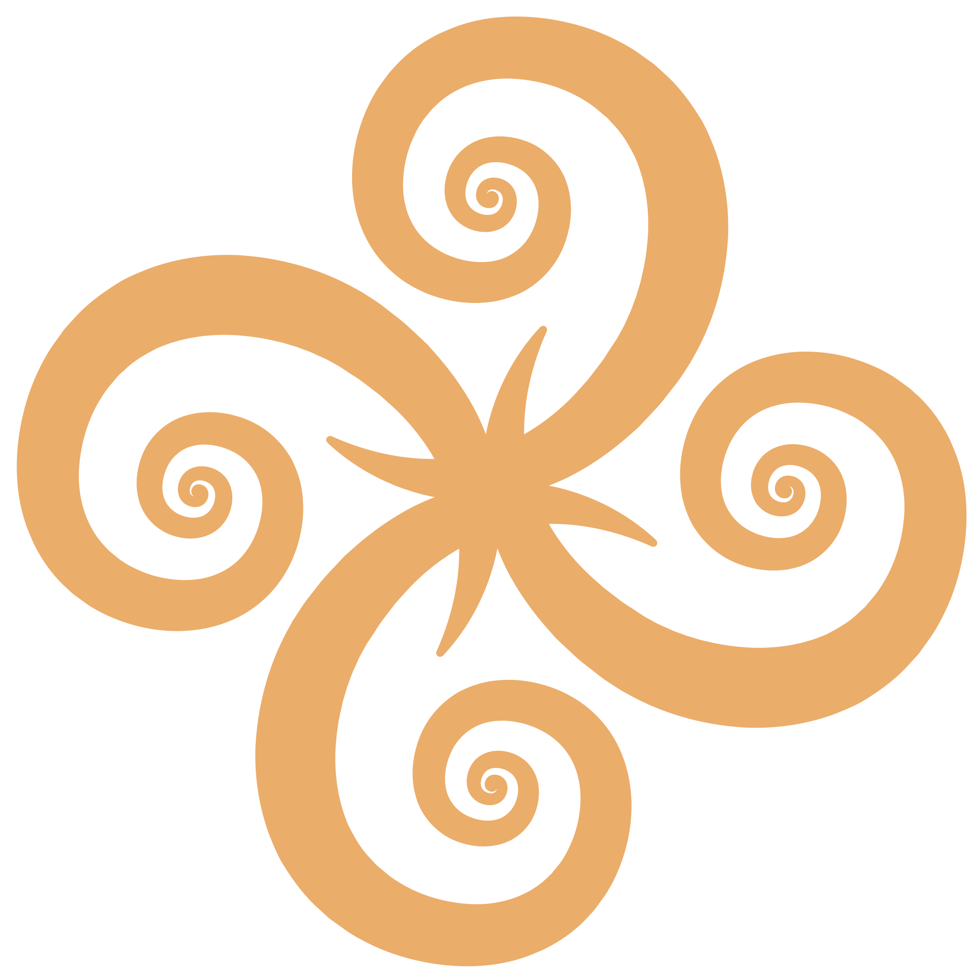 espiral_comunidad4