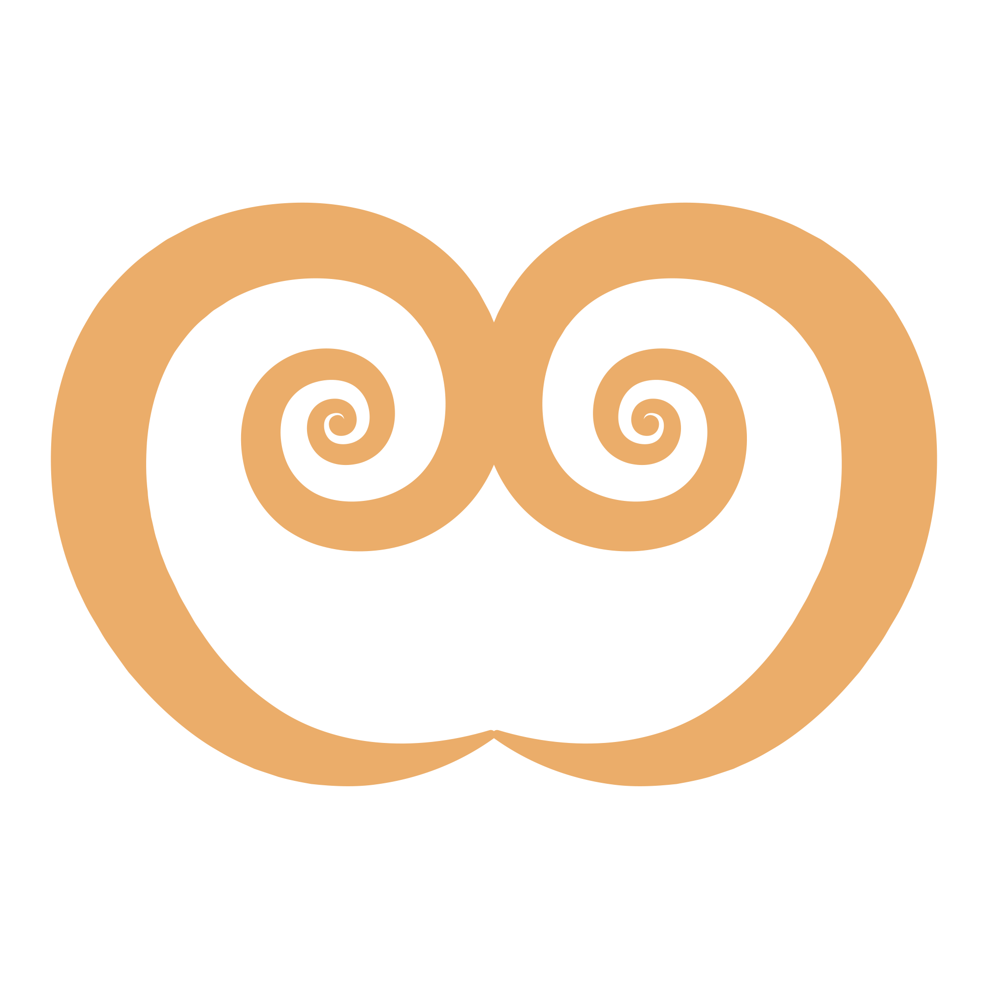 espiral_directorio