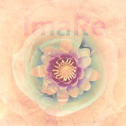 ImaRe__©LaVidaIntrauterina