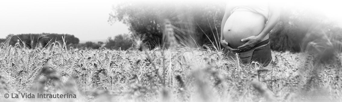 embaras espigues_©LaVidaIntrauterina