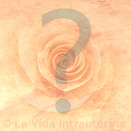 tutorias©LaVidaIntrauterina
