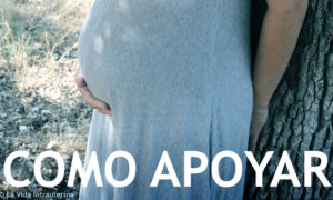 BANNER cómoapoyar_©LaVidaIntrauterina