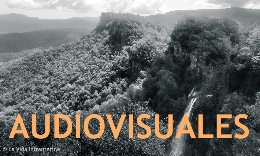 BANNER-AUDIOVISUALES_©LaVidaIntrauterina