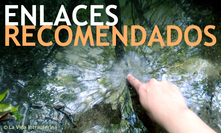 BANNER-ENLACES_©LaVidaIntrauterina