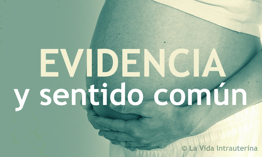 BANNER-EVIDENCIA_©LaVidaIntrauterina