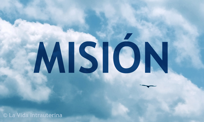BANNER-Misión_©LaVidaIntrauterina