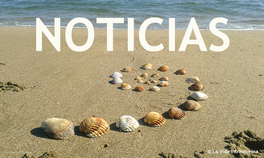 BANNER-NOTICIAS_©LaVidaIntrauterina