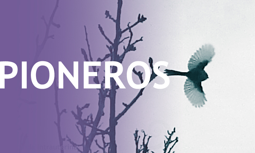 BANNER-PIONEROS_©LaVidaIntrauterina